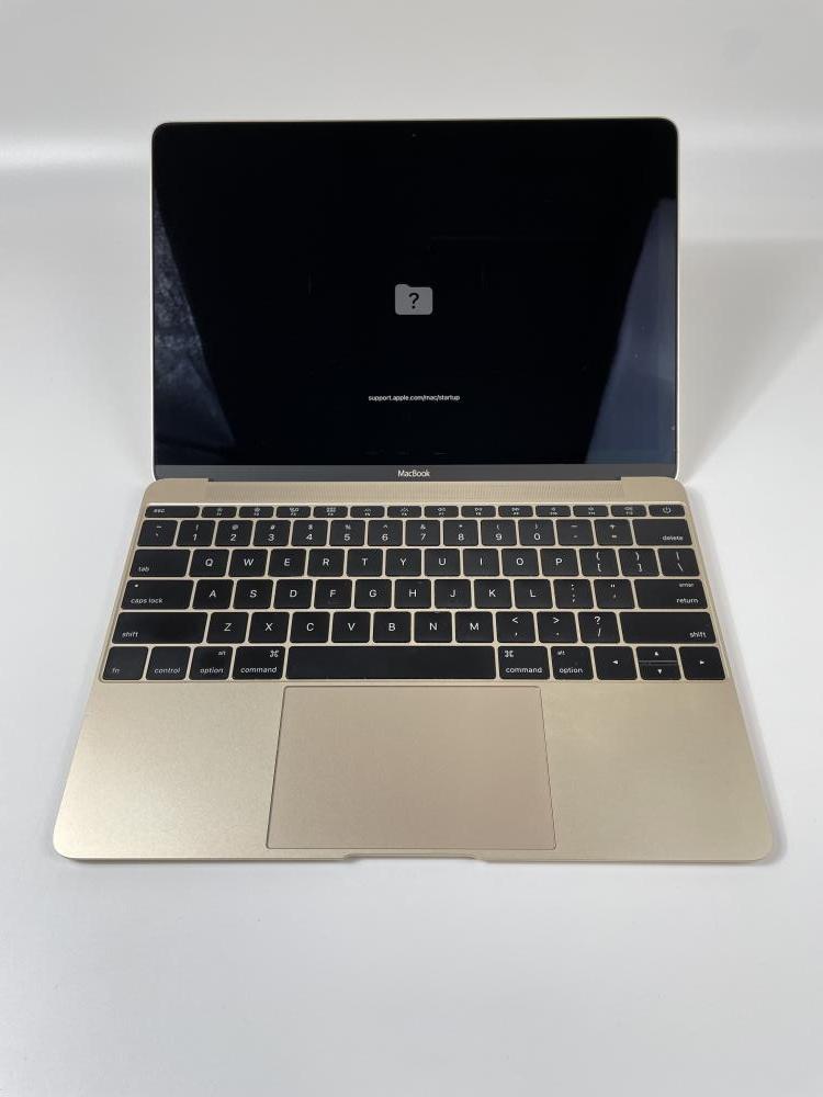 美品MacBook Early 2016 12インチ A1534 SSD 500 Apple MacBook (12 inch Early 2016) 8GB RAM (WiFi) M3 A1534
